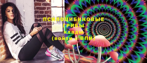 a pvp Беломорск